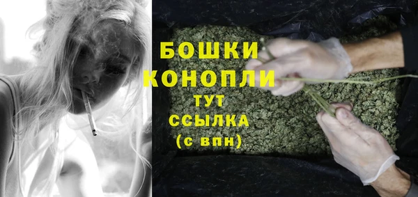 2c-b Новозыбков
